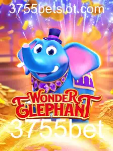 Descubra WonderElephant: O Jogo que Está Revolucionando o Mundo dos Cassinos Online